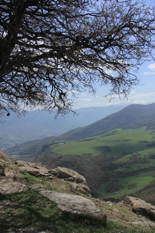 Yenokavan Glamping Ijevan Εξωτερικό φωτογραφία